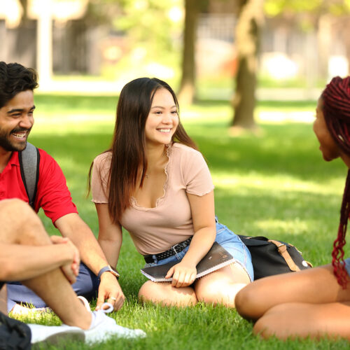 students studying outside